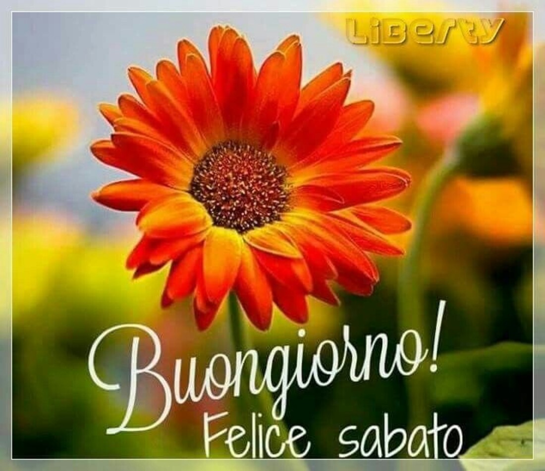 A tutti auguro una buona giornata e un felice sabato 6