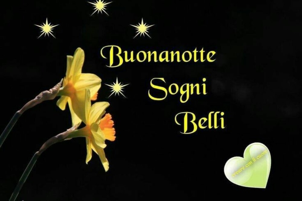 A tutti i miei amici auguro una buona notte 14