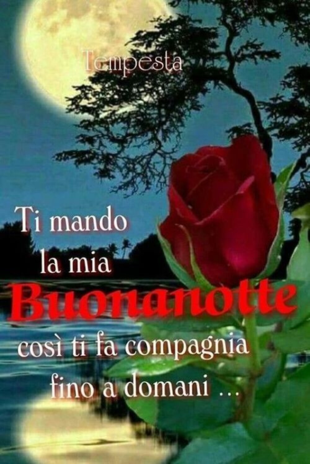 Bellissime foto e link per inviare la buona notte 8