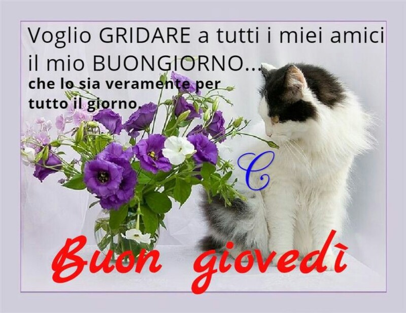 Buon giovedì amici di Whatsapp web 12