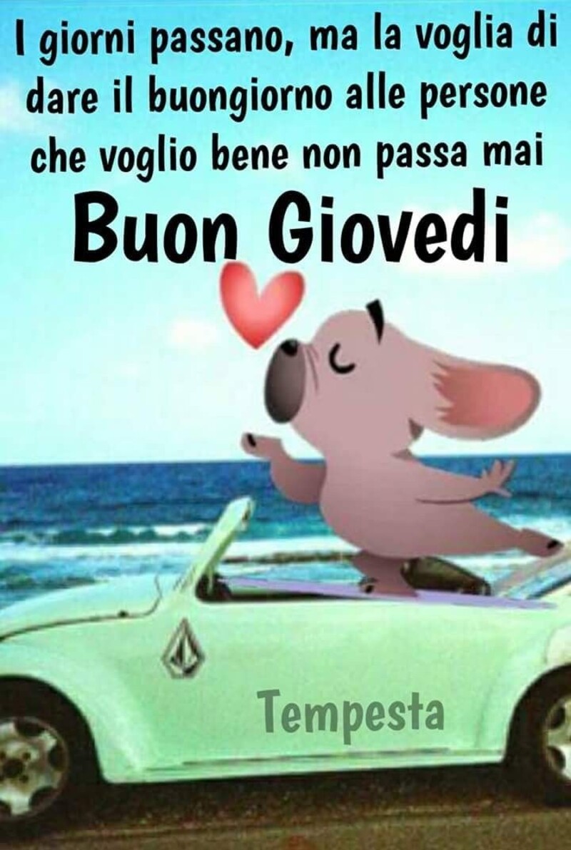 Buon giovedì bella gente 9