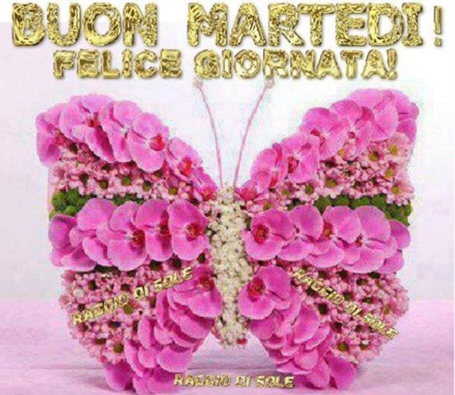 Buon martedì farfalla