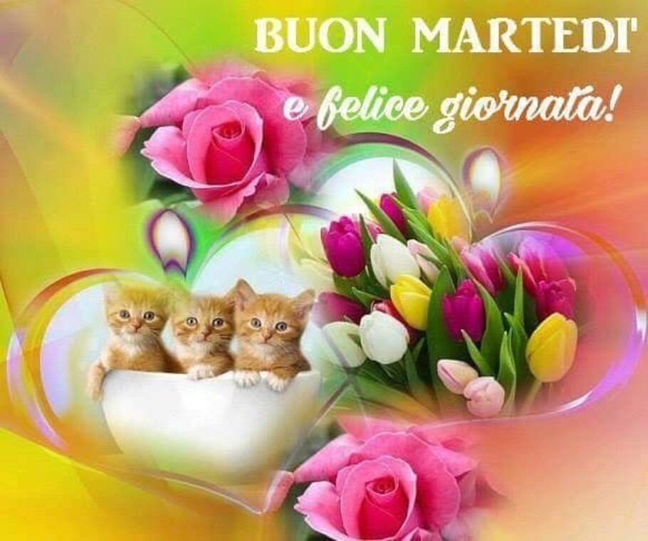 Buon martedì immagini 9