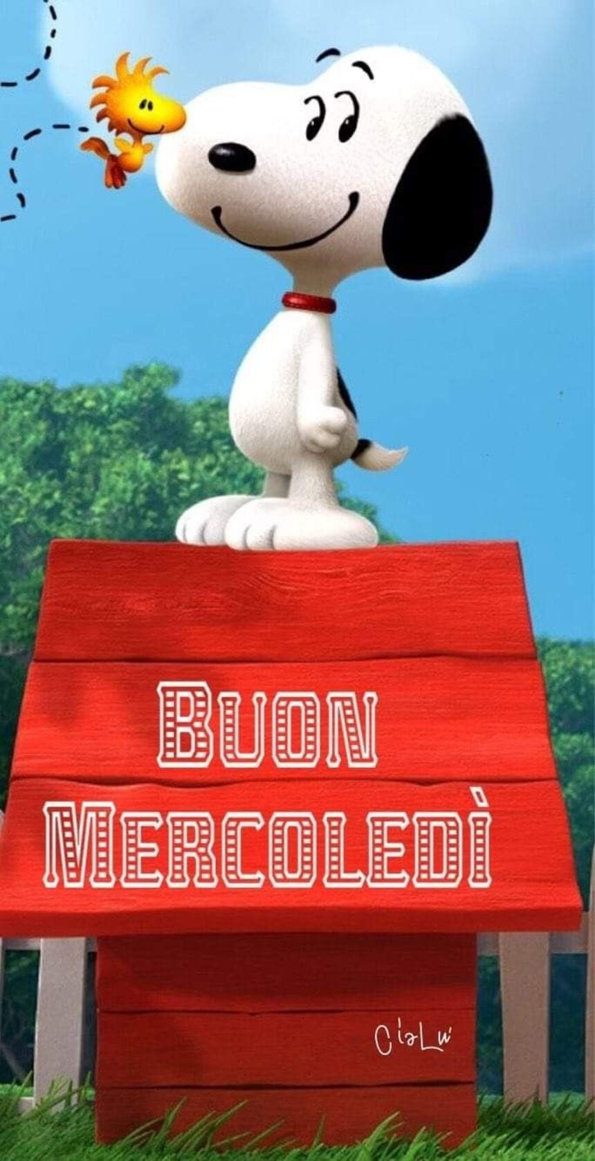 Buona giornata di mercoledì con Snoopy (2)