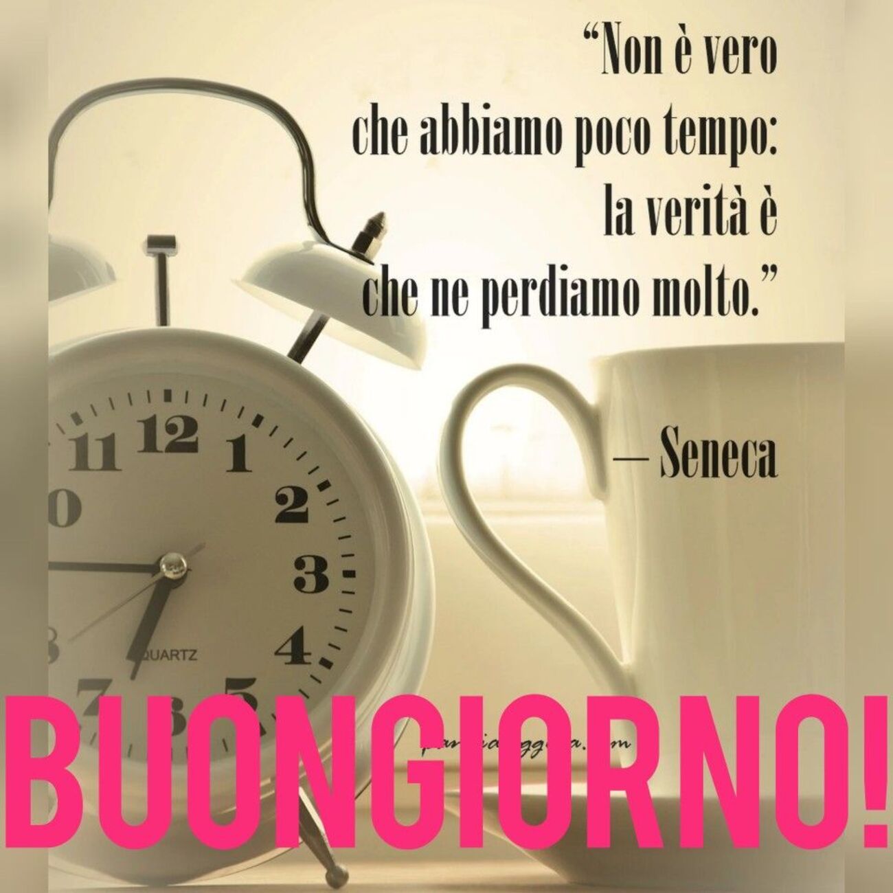 Buondì 11