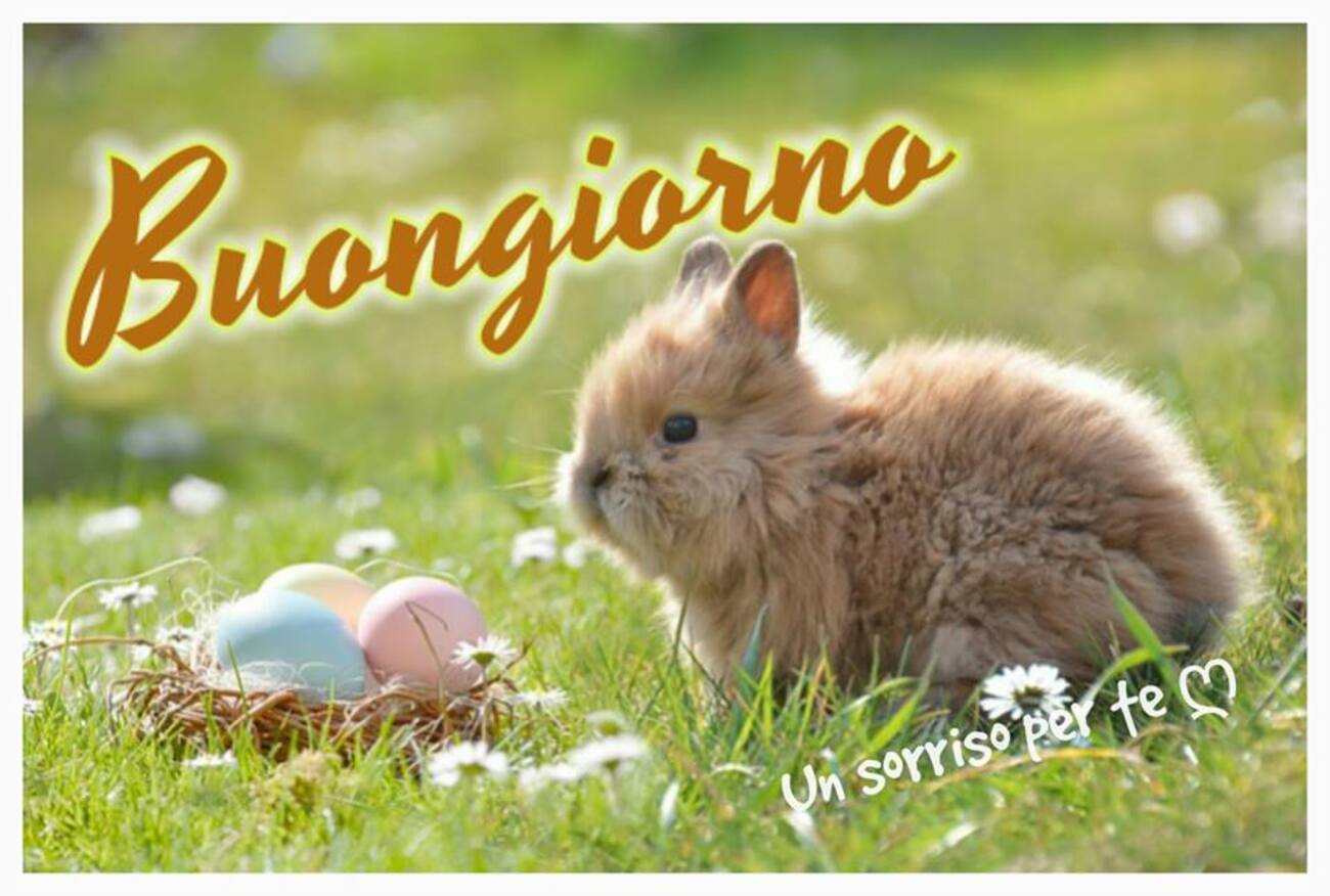 Buongiorno col coniglietto di Pasqua