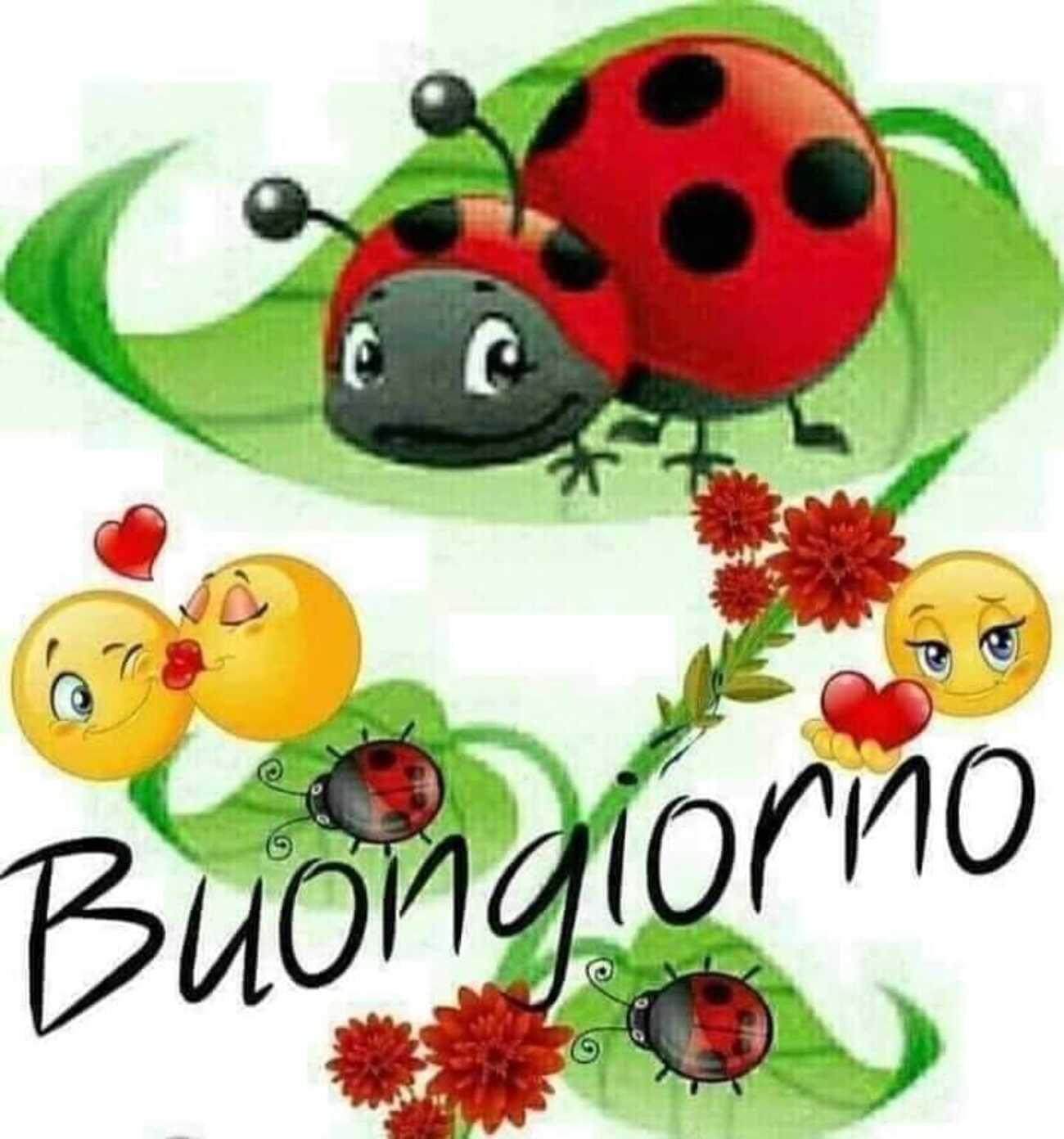 Buongiorno con la coccinella della fortuna