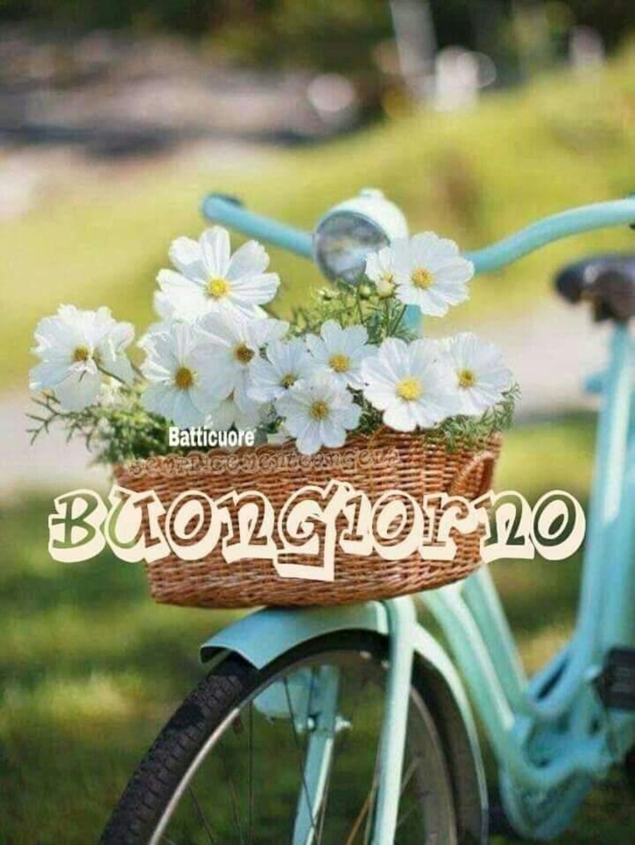 Buongiorno con una bicicletta e dei fiori