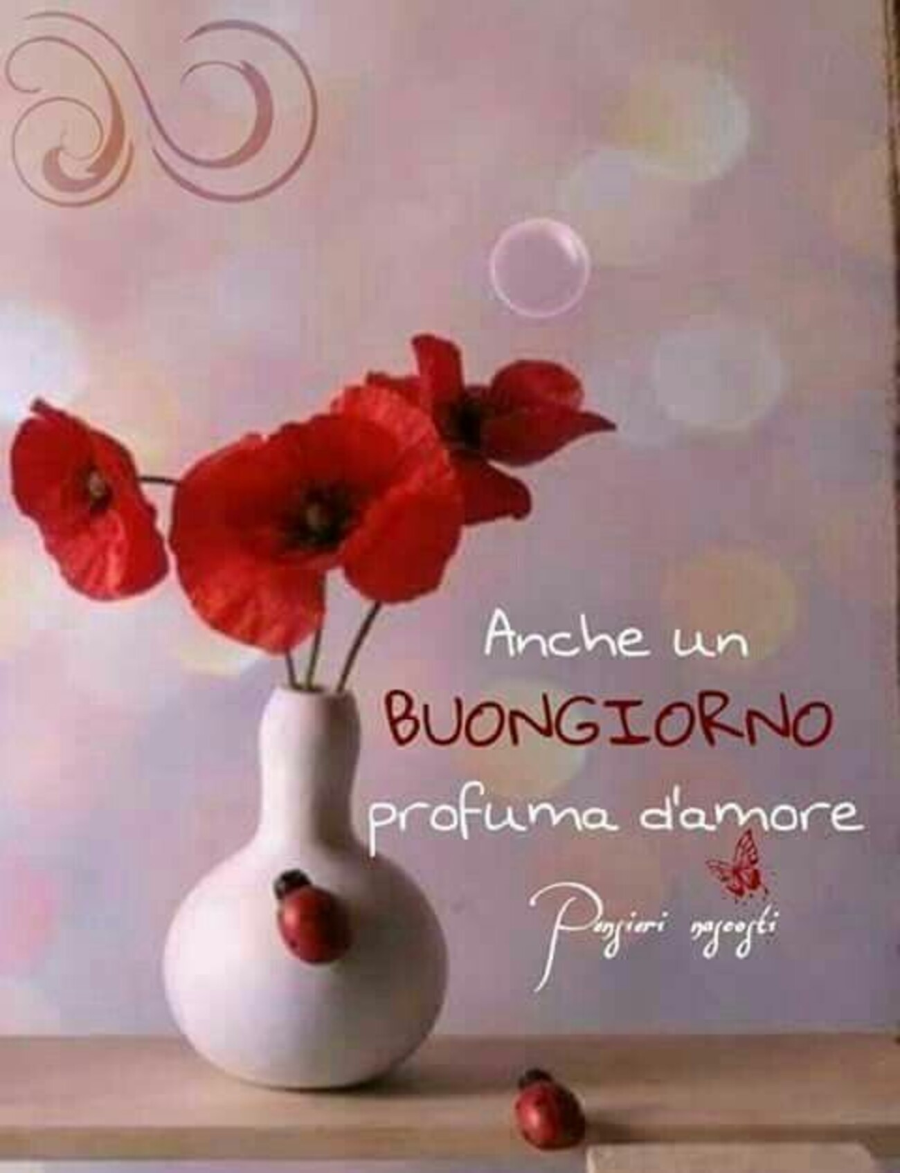 Buongiorno nuove 13