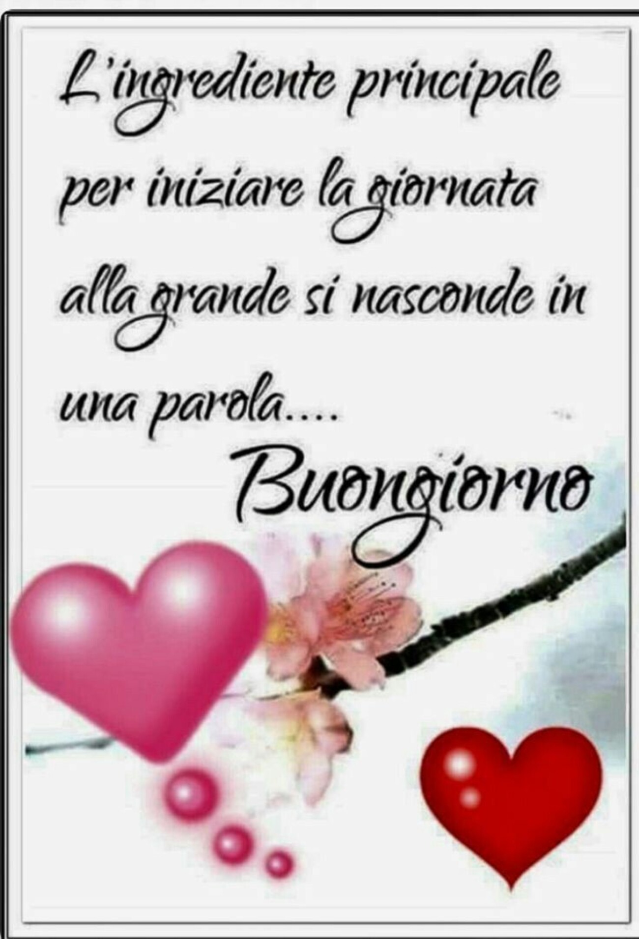 Buongiorno per WhatsApp 7