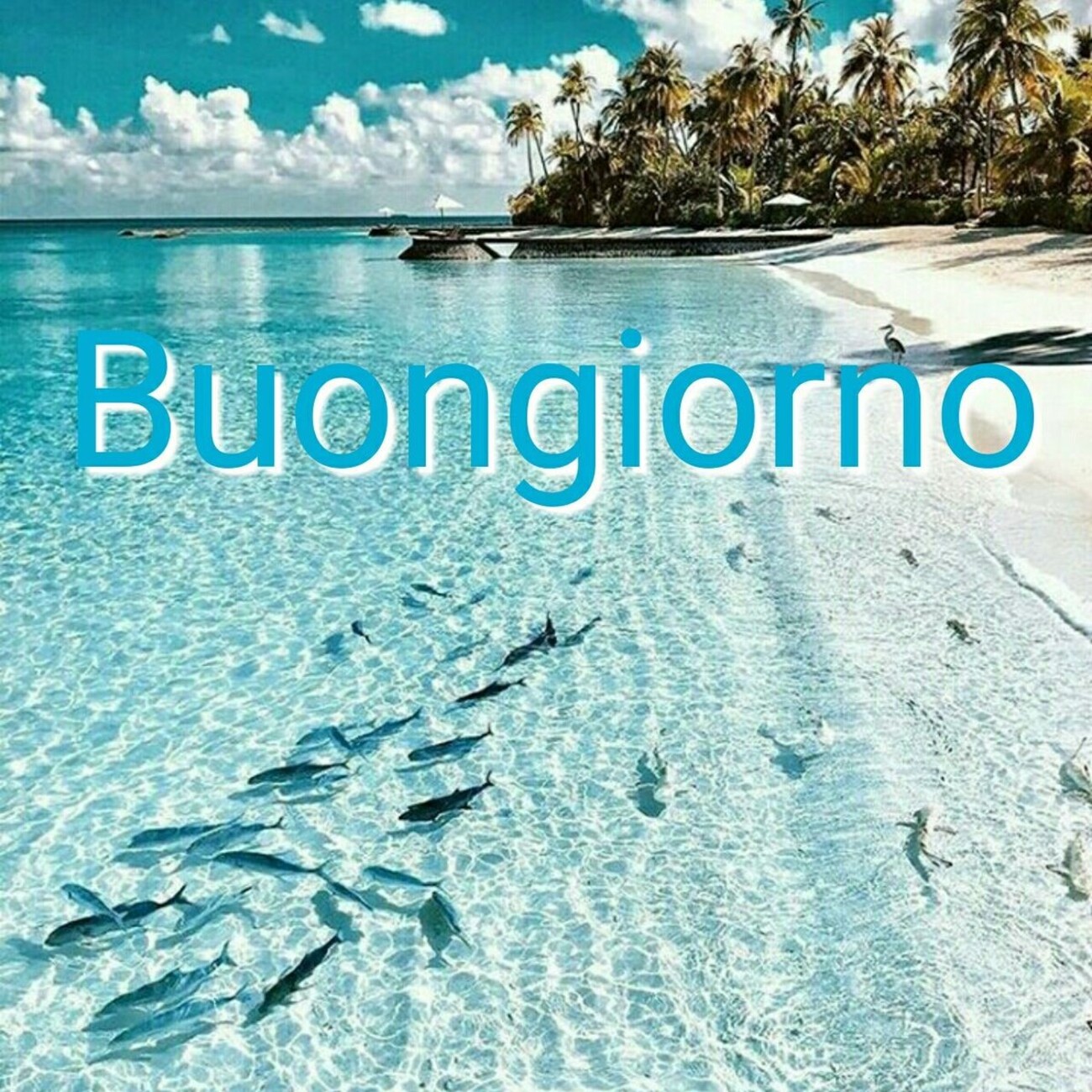 Cartoline per augurare buongiorno su internet 6