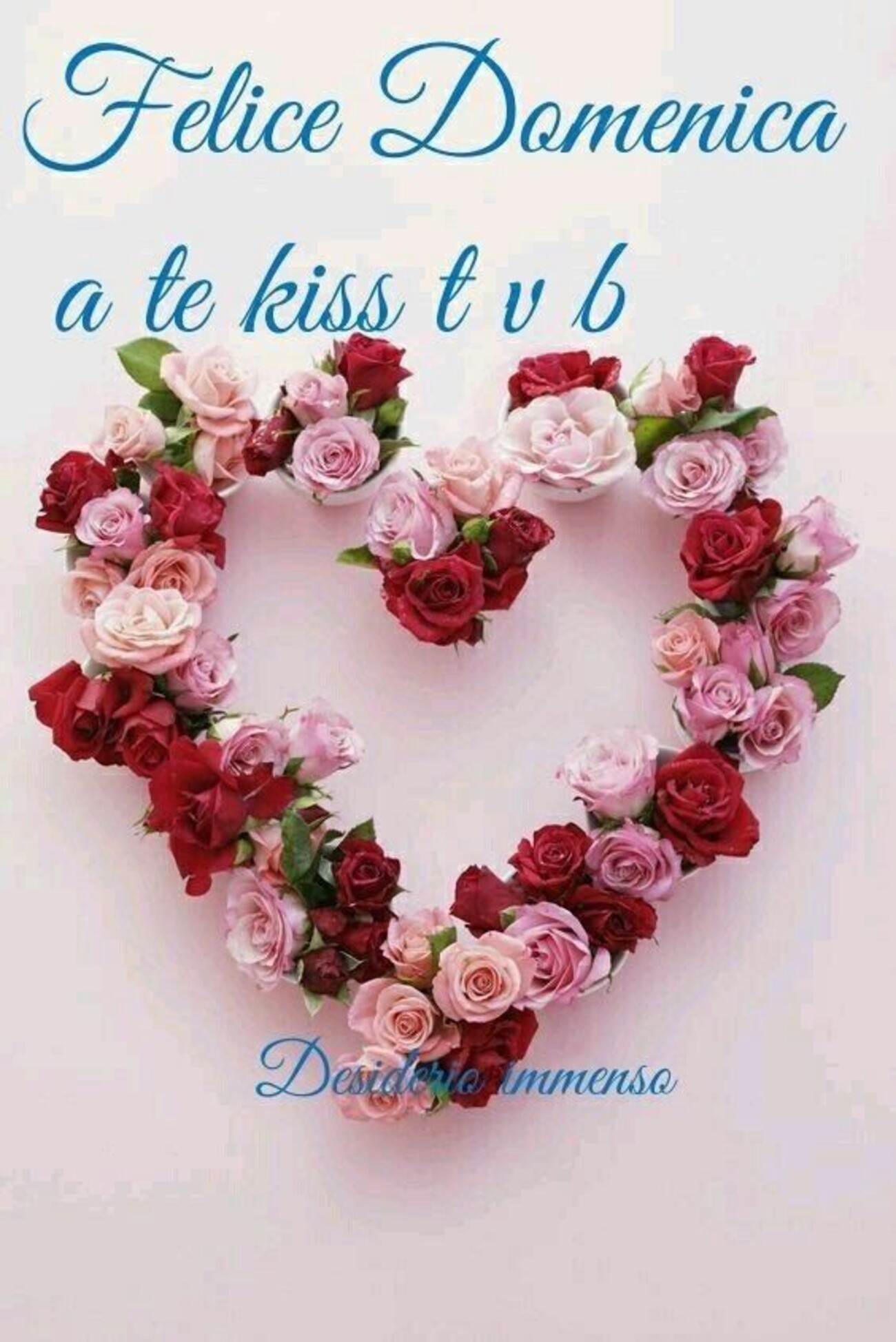 Felice Domenica a te kiss TVB 1