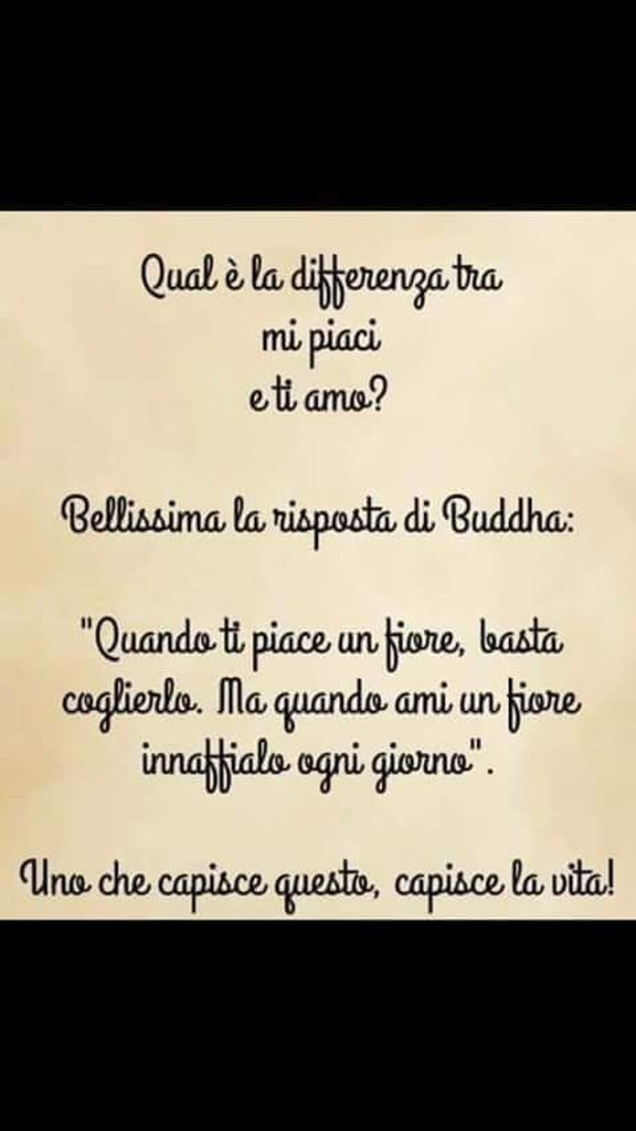 Frasi bellissime 1