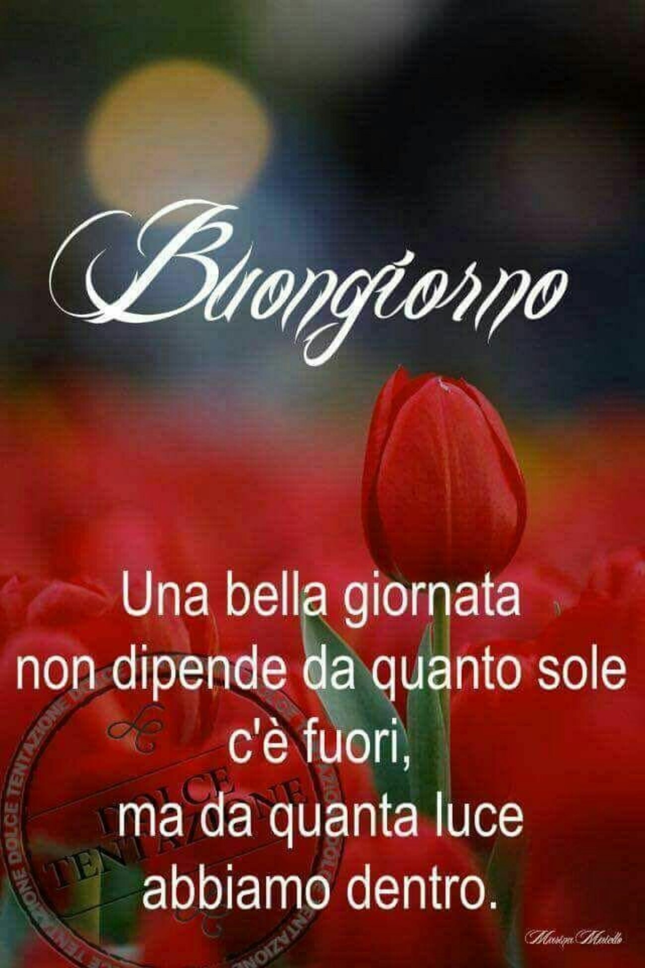 Frasi e immagini di Buongiorno per gruppi Whatsapp 3