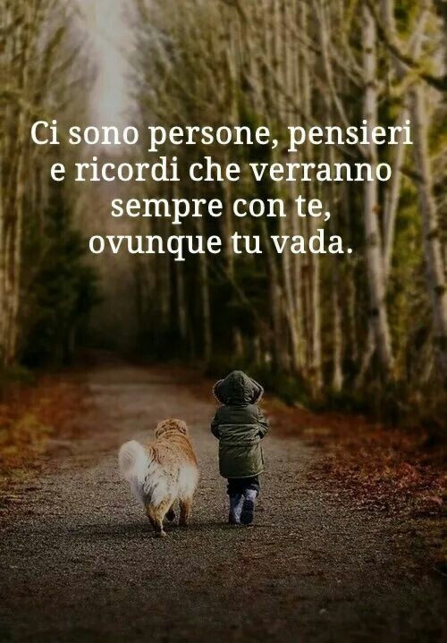 Frasi significative da condividere con tutti 14