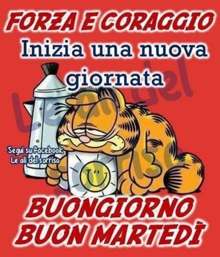 Gatto Garfield buon martedì