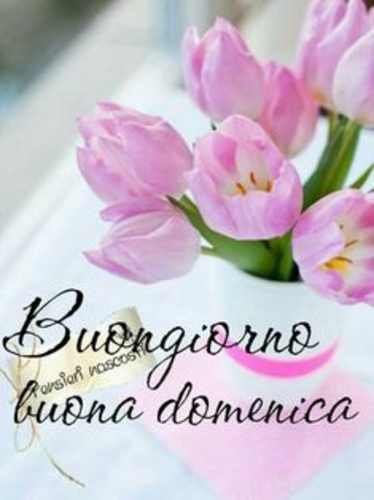 Immagini bellissime per dire buona domenica bgiorno 14