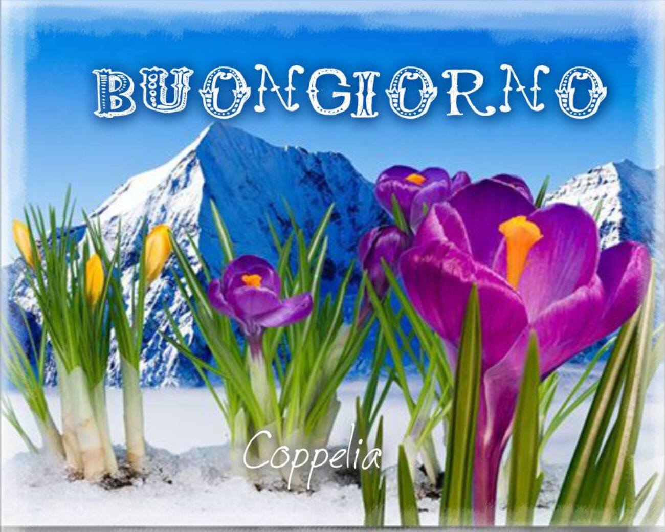 Immagini del Buongiorno con i fiori (3)