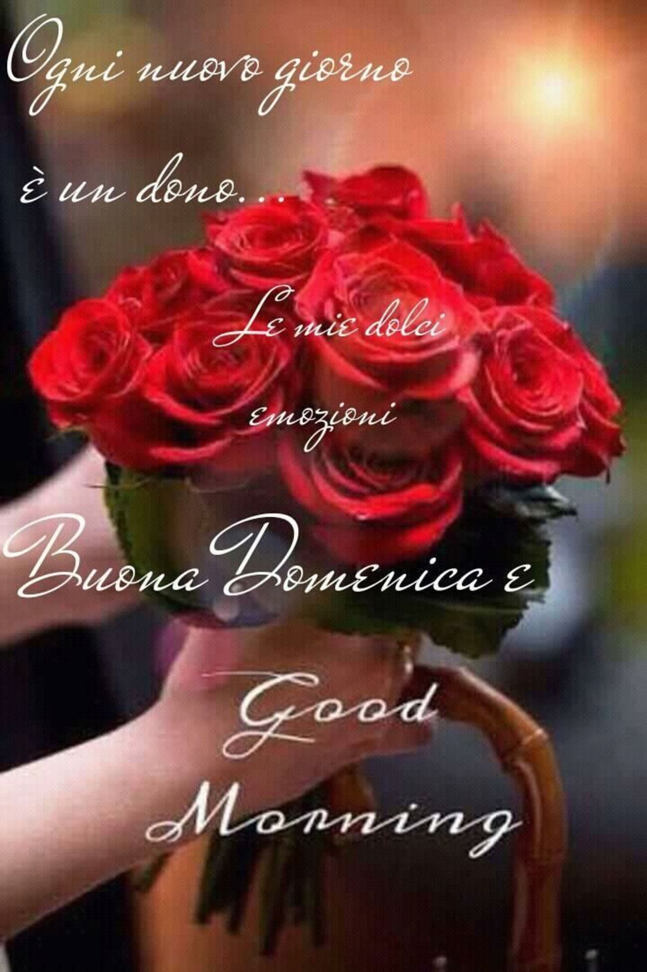 Immagini di buona giornata e buona domenica Pinterest 2