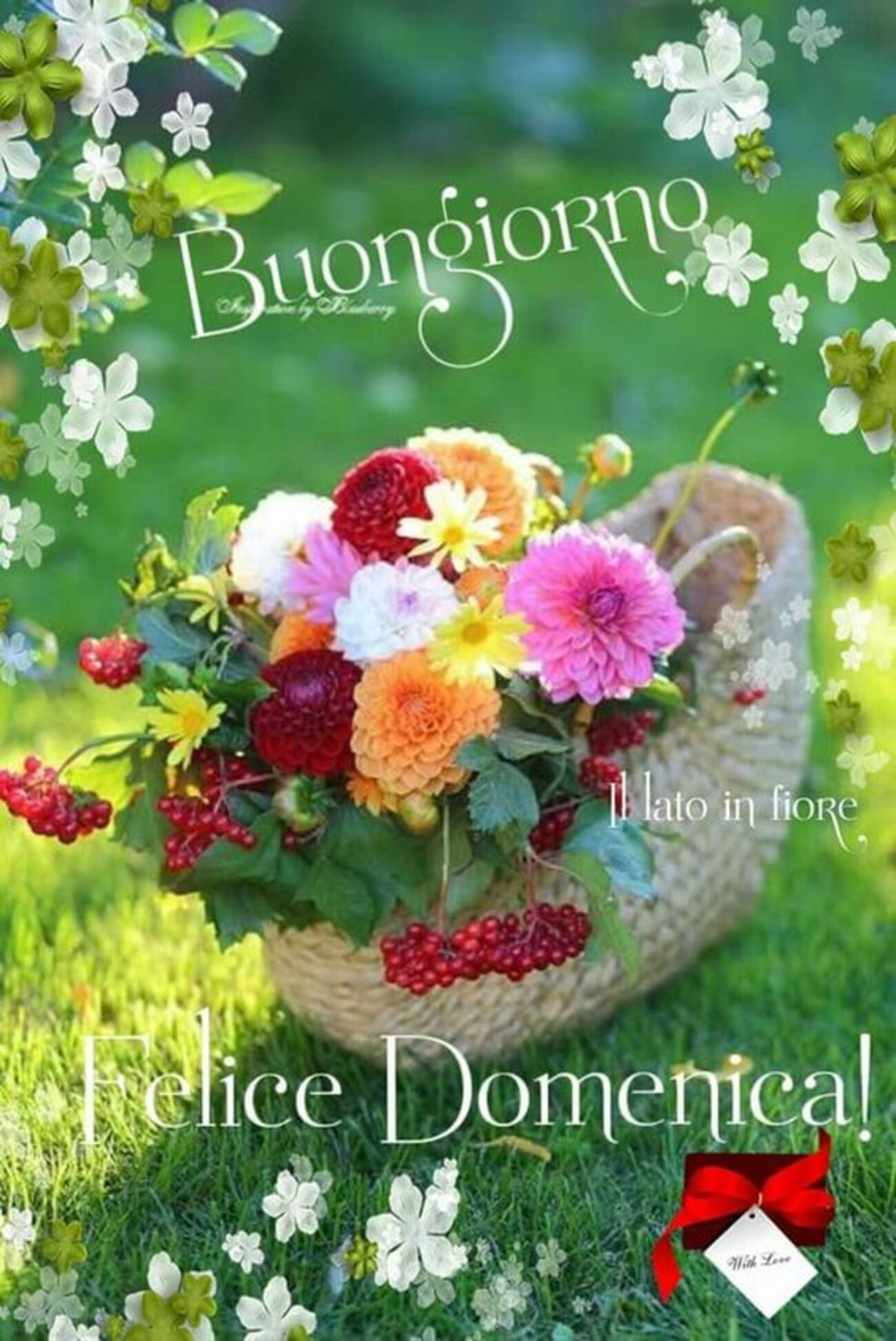 Le immagini più belle di buona domenica 13