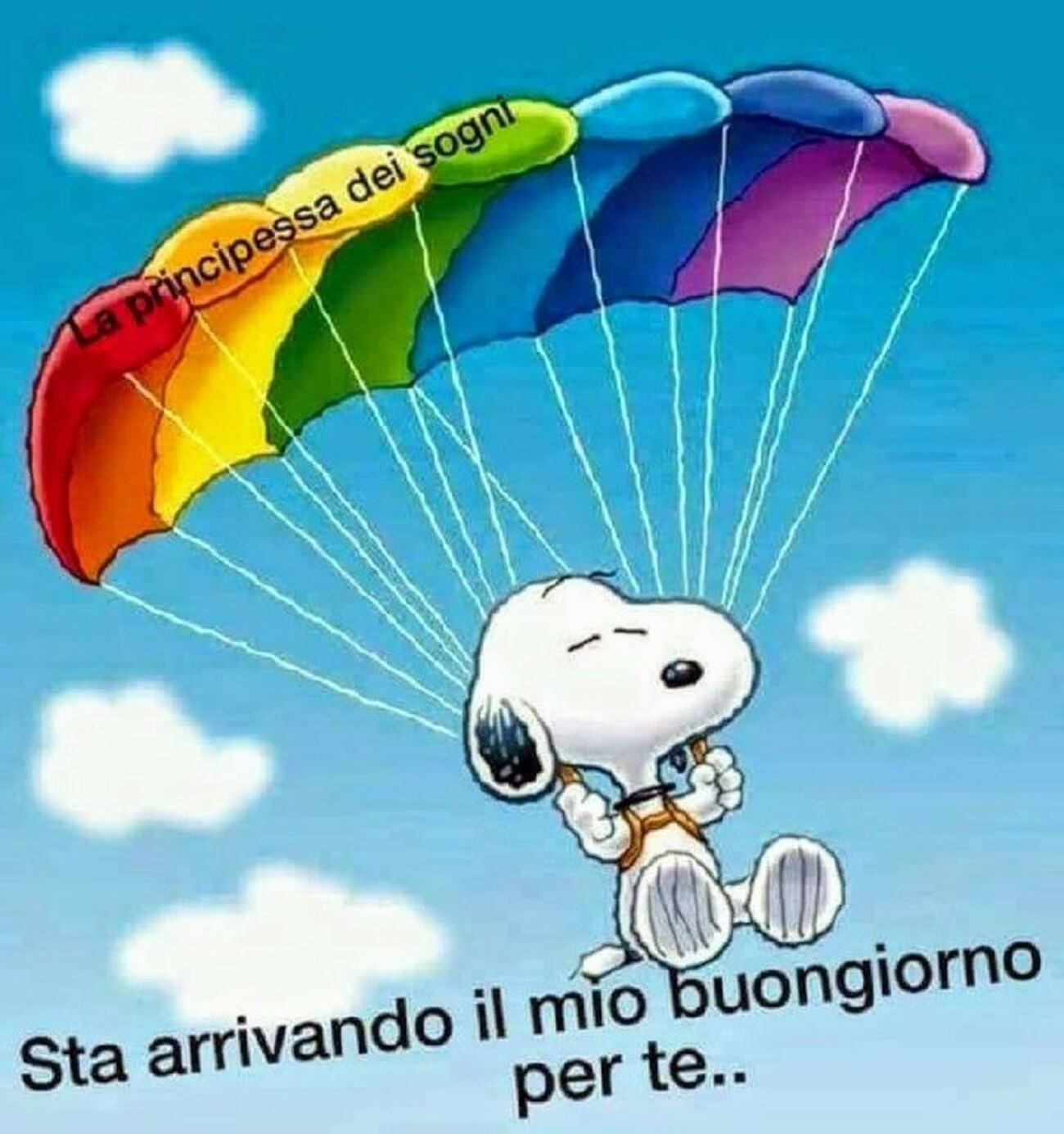 Snoopy sta arrivando il mio Buongiorno per te