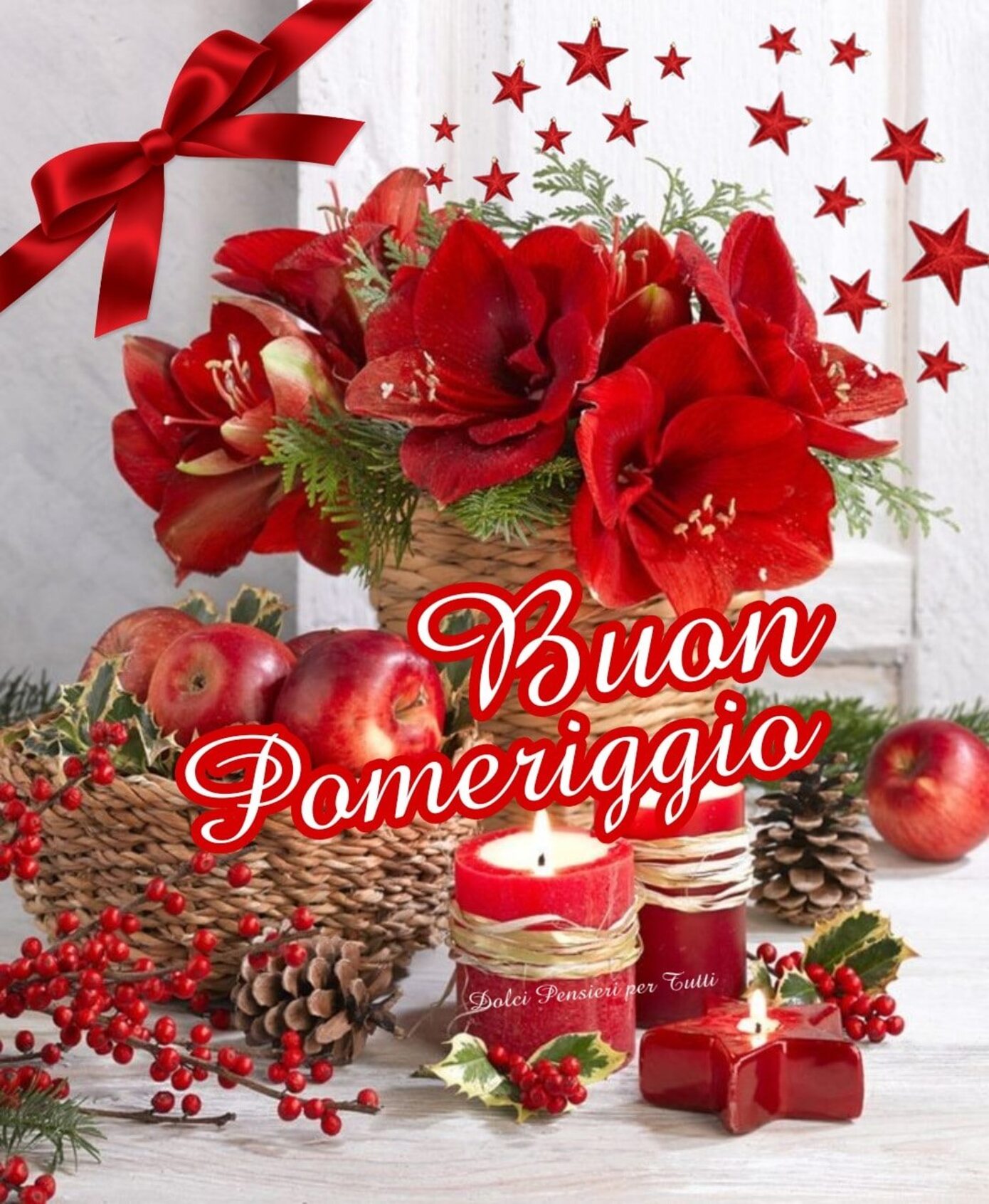 Buon pomeriggio con i fiori del Natale